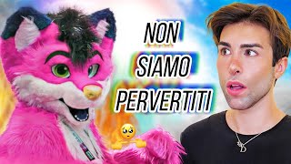 24 Hours with a Furry | Gianmarco Zagato