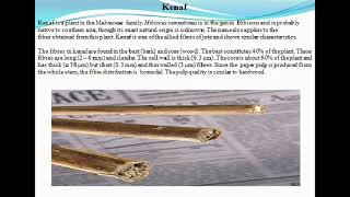 natural fiber analysis