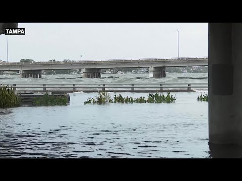 Videó: Hol van a floridai üdvözlet, amit aláírsz?