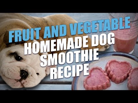 Fruit And Vegetable Homemade Dog Smoothie Recipe