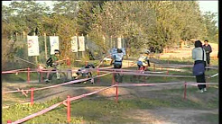 GIOVANISSIMI SAN MINIATO 2014