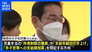 政府、“児童手当の所得制限撤廃”“出産費用の保険適用”を明記へ  今月末取りまとめの「たたき台」に｜TBS NEWS DIG