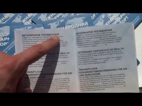 Международный ветеринарный паспорт, сезон 2015