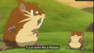 Ditto Transforms Into A Raticate! (Pokémon Horizons)