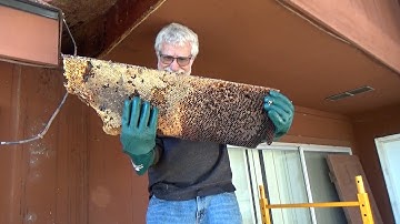 I hit the jackpot on this one!