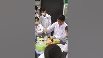 Sinh viên Đại học Cần Thơ thực tập thí nghiệm