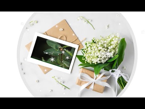 تكريم حافظات القرآن نبض الجنان 