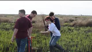 Introduction to Service-Learning