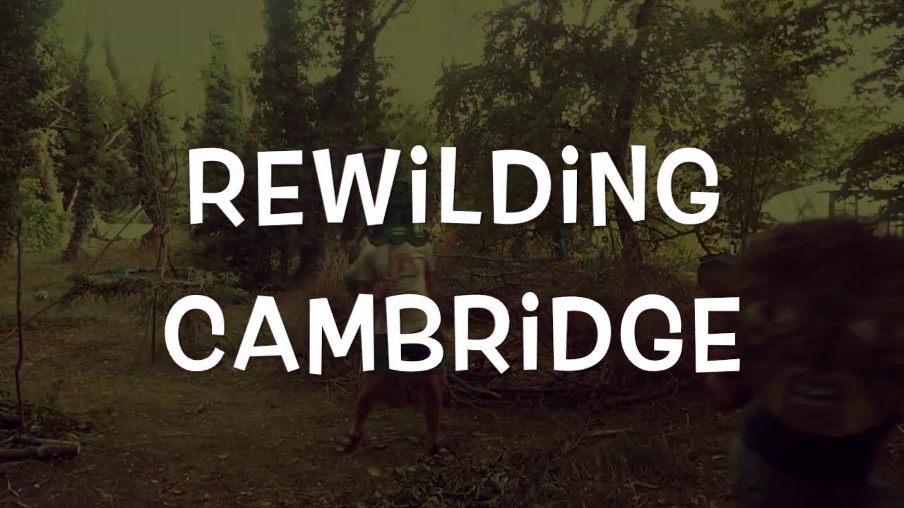 Rewilding Cambridge - Oblique Arts