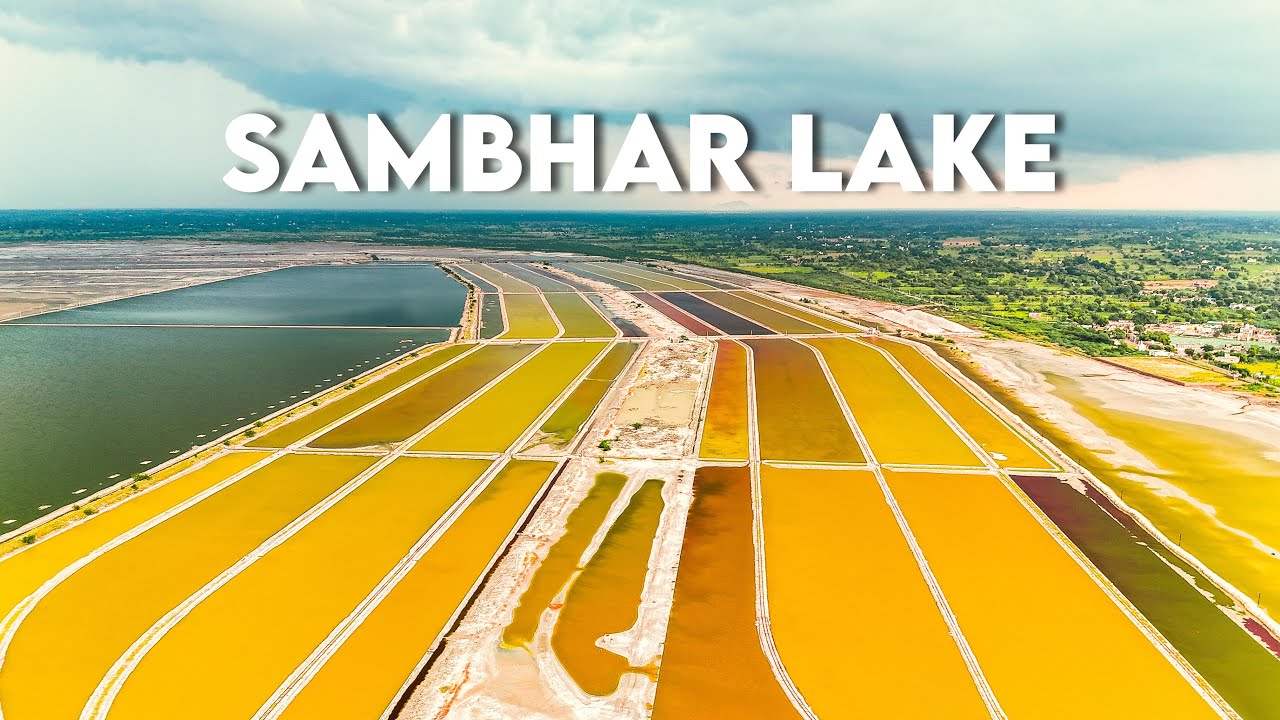 Sambhar Lake : India's Most Colourful Lake | MigratoryBirds | History & Culture | Lucky cinecom