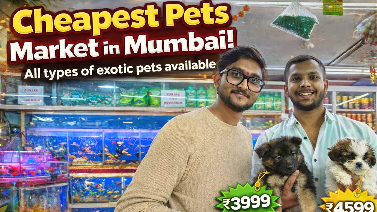मुंबई का मशहूर क्रॉफर्ड मार्केट | Mumbai’s Cheapest Pets Market | Exotic Pets at Amazing Prices