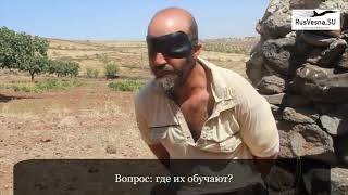 Кремль пытается обмануть русскоязычную аудиторию с помощью фальсифицированного видеоролика ИГ Кремль пытается обмануть русскоязычную аудиторию с помощью фальсифицированного видеоролика ИГ