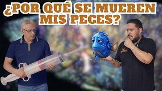 Guía de Supervivencia: Cómo DETECTAR y tratar ENFERMEDADES en peces