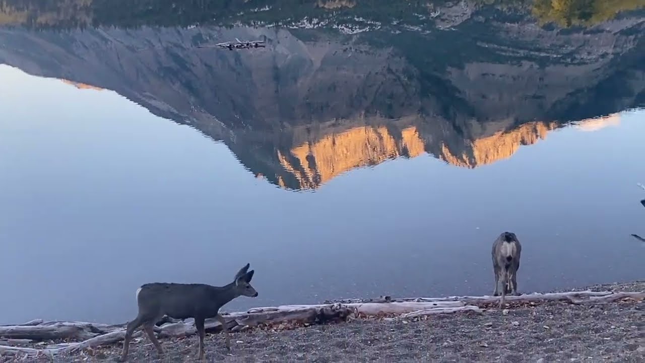 Waterton Thanksgiving 2025 - James Oldenburg - guitar