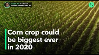 U.S. could have record corn crop in 2020