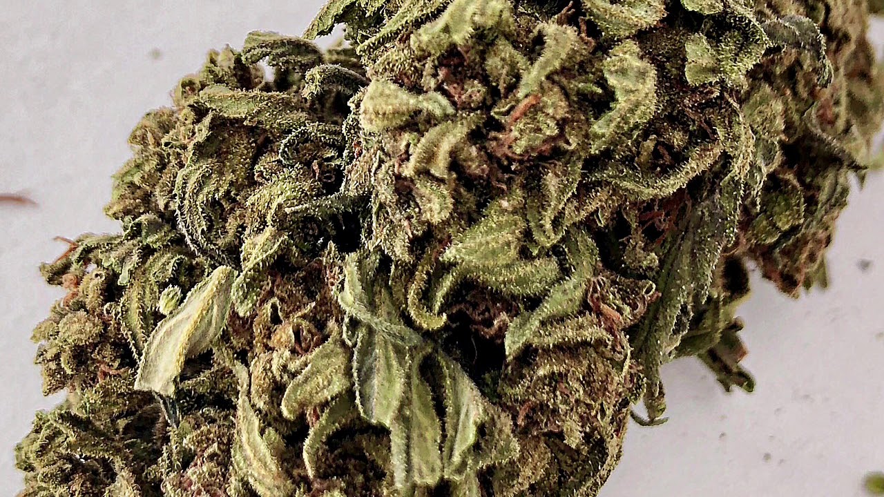 Cali Gas hemp CBD strain from Canna Comforts YouTube
