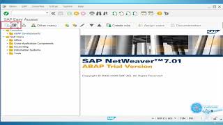SAP GUI Customization and Navigation