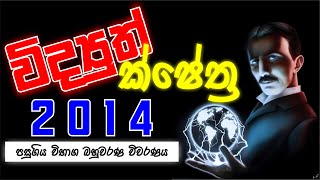 Mahen Jecob | විද්‍යුත් ක්ෂේත්‍ර | Electric Field |2014 MCQ No.08