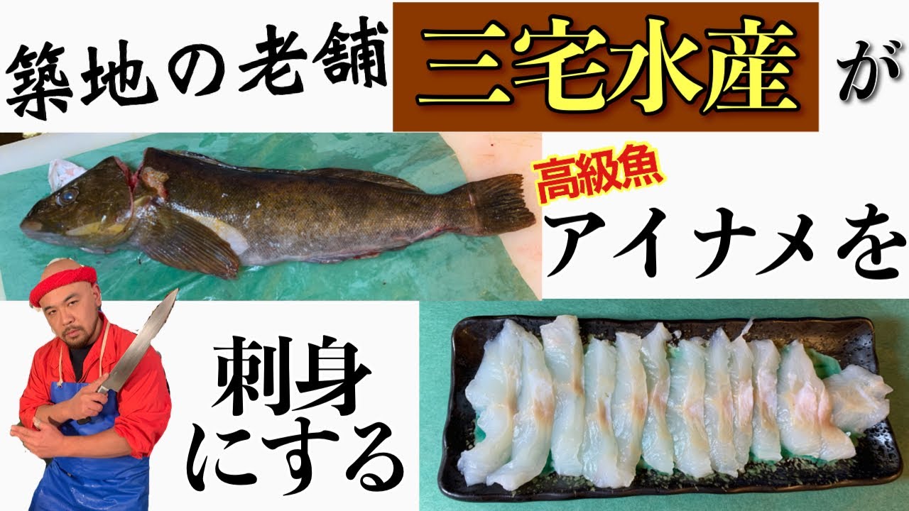 築地 の魚屋が活きた アイナメ を刺身にするtsukiji Fish Shop Makes Fat Greenling Sashimi Youtube