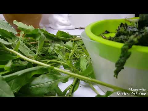 المفاصل والديسك كريم الطيون عمل مرهم نبات الطيون بالمغرب ط ب اق او ترهلا ودهن النعام