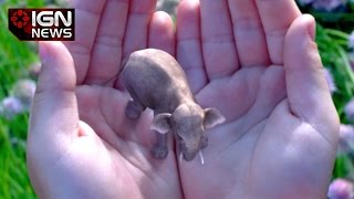 Mysterious Magic Leap Tech Raises Over $500 Million in Funding - IGN News