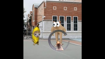 Baby Banana Cat School Day 😺❤️ #catmemes #cat #shorts #fyp #bananacat