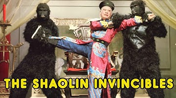 Wu Tang Collection - Shaolin Invincibles