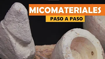 Como se forma o micélio Dicariótico?