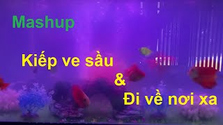 Mashup Kiếp ve sầu & Đi về nơi xa