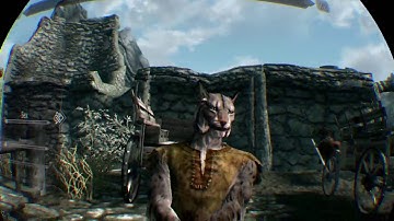 SKYRIM VR Part 1