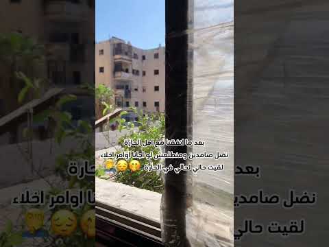 بعد ما اتفقنا مع اهل الحارة نضل صامدين ومحدش يطلع Shortvideo Shortvideo اكسبلور