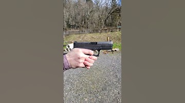 PSA Dagger Trigger Sucks?