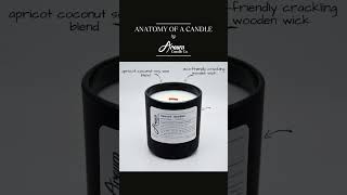 Anatomy Of A Candle By Areum Candle Co.
