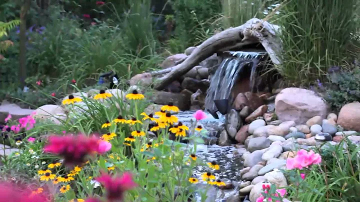 Garden Video for Tamala