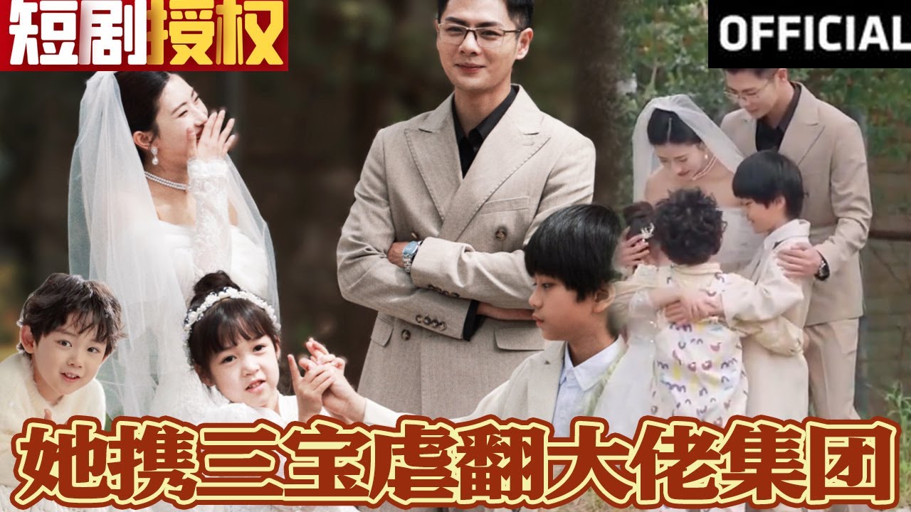 逆袭人生：携三宝重返海城