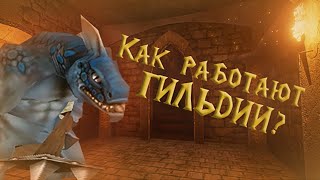 От новичка до лидера  в WOW, или как потерять молодость?