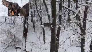 Doug Fredericksen Doe Kill (Twisted Timber/Hunter Safety)