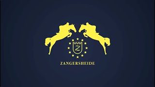 Jara VD Holsteinerhoeve Z Jara VD Holsteinerhoeve Z