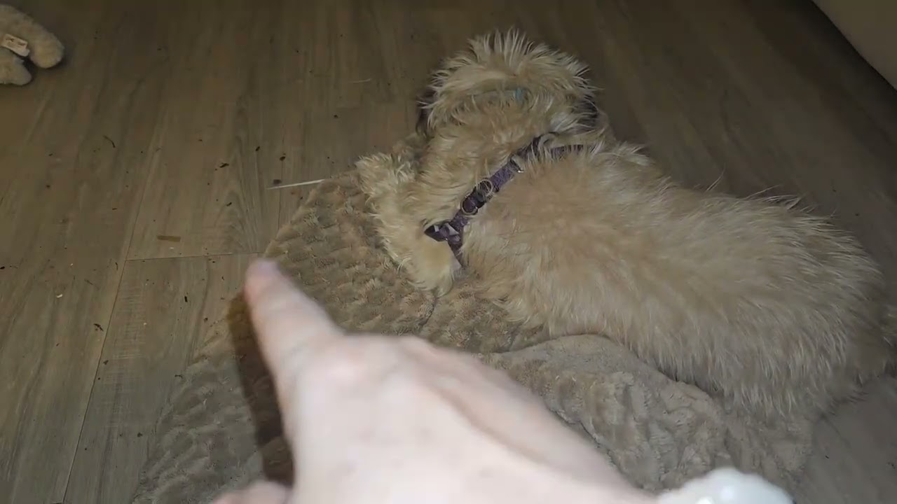 Devotion Ultimate Accountability.