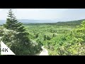 【4K】 Walking in Hakkouda Mountain with Chinguruma in full bloom
