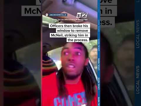 Officer punches driver in viral Florida traffic stop