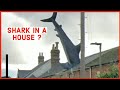 Is SharkNado Real?!? #shorts #funnyvideo