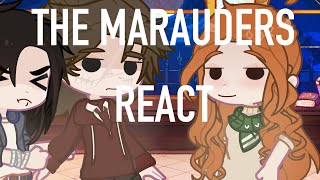 The Marauders react {1/2} Gacha react // Rubeckia