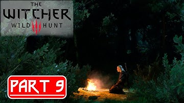 The Witcher 3 Next Gen Upgrade Gameplay Walkthrough Part 9 FULL GAME - No Commentary