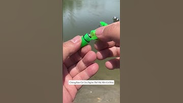 Chuông Báo Cá #cauca #fishing