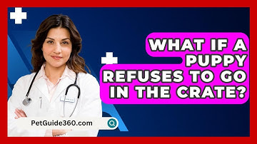 What If A Puppy Refuses To Go In The Crate? - PetGuide360.com