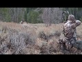 Archery elk hunting in idaho with outdoors international