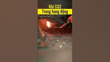 Khí CO2 trong hang động #congkienthuc #shorts