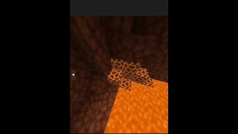 2 Truths & a LIE Nether edition #minecraft