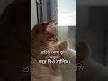 প্রতিটি দোয়া তুমি কবুল করে নিও মাবুদ..!🥹 #foryou #ইসলামিক_ভিডিও #শট